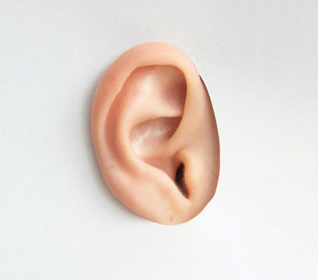 An ear photo
